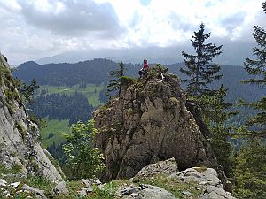 2023_06_10 Zoller