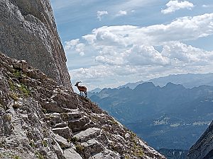 2023_08_13 Altmann