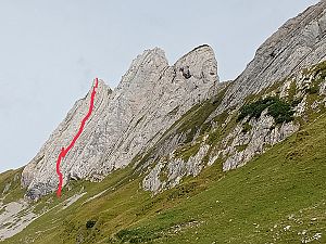 2023_09_03 Mutschli