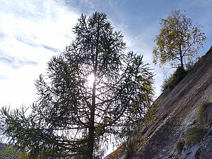 2023_10_14-15 Chiavenna
