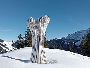 2024_01_14 Heie