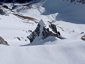 2024_02_18 Blankuskopf