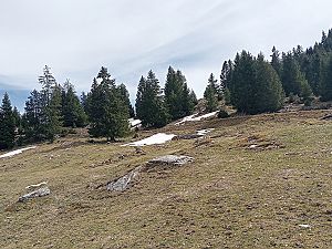 2024_04_06 Oelberg