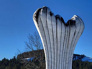 2024_12_01 Heie