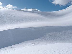 2025_02_08 Rotrüfner