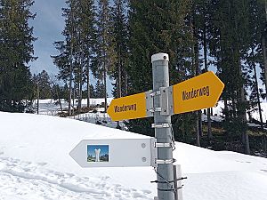 2025_02_22 Wanderung Gössigenhöhe - Heie