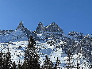 2025_03_02 Lindauer