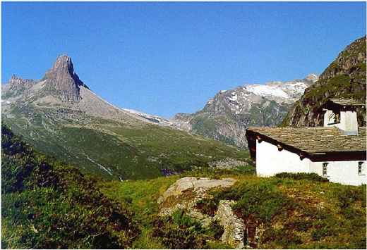 004Zervreilahorn.jpg.jpg