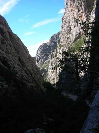 dscn1345.jpg.jpg