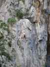 thumbs/dscn1370.jpg.jpg