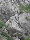 thumbs/dscn1398.jpg.jpg