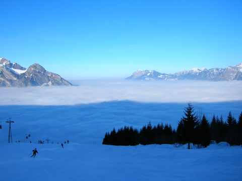 DSCN2120.JPG.jpg