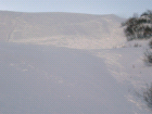 thumbs/cimg0315.png
