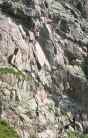 thumbs/dscn11270.jpg.jpg