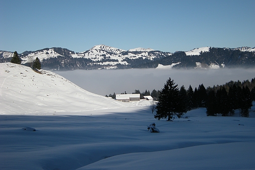 DSCN0845.JPG