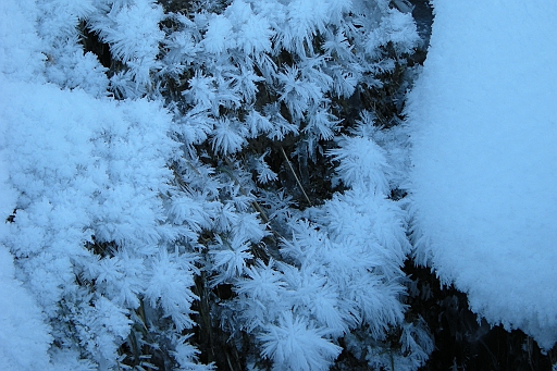 DSCN0877.JPG