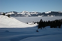 DSCN0845