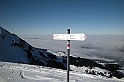 DSCN0865