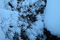 DSCN0877