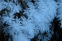 DSCN0878