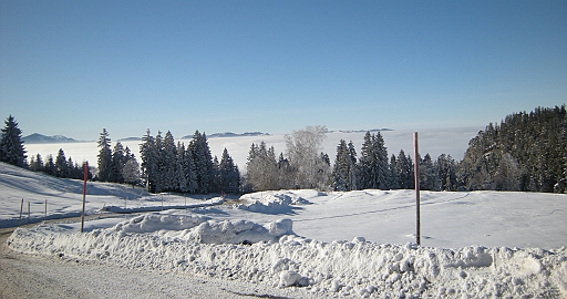 DSCN0916.JPG
