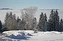 DSCN0918