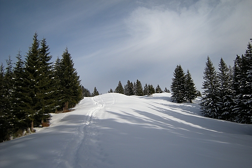 DSCN0816.JPG