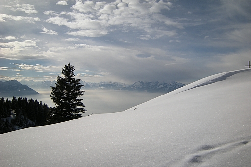 DSCN0819.JPG
