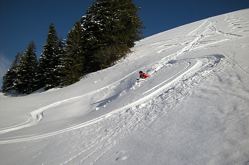 DSCN0821.JPG