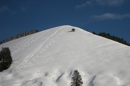 DSCN0826.JPG