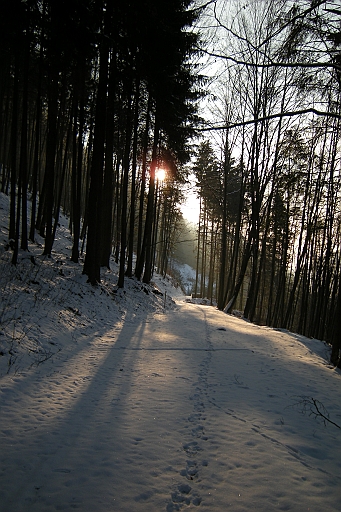 DSCN0833.JPG