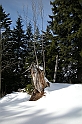 DSCN0814