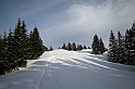 DSCN0816