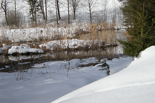 DSCN0983.JPG