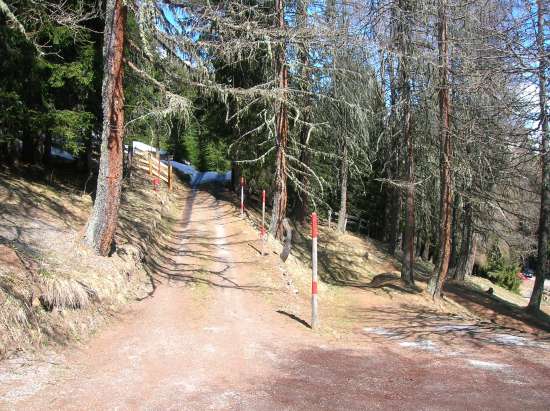 Arzthaus19.jpg.jpg