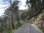 thumbs/dscn0478_00.jpg.png