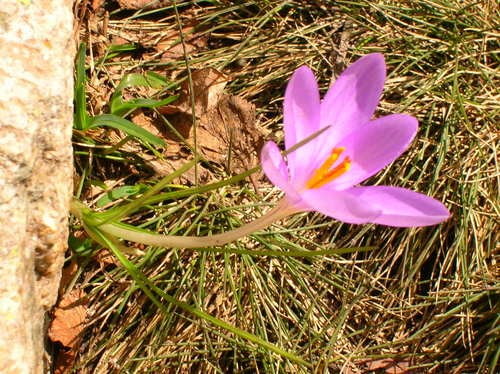 dscn0421_00.jpg.jpg