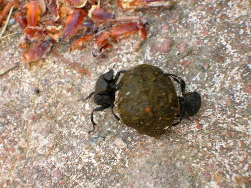 dscn0521_00.jpg.jpg