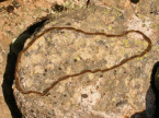 thumbs/dscn0360_00.jpg.png