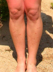 thumbs/dscn05493_00.jpg.png