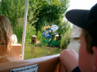 thumbs/cimg0028_00.png