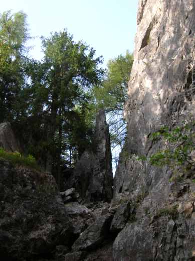 dscn2955.jpg.jpg