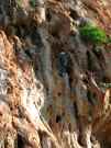thumbs/121Sizilien05.JPG.jpg
