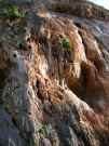 thumbs/122Sizilien05.JPG.jpg