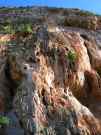 thumbs/128Sizilien05.JPG.jpg