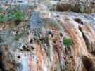 thumbs/129Sizilien05.JPG.jpg