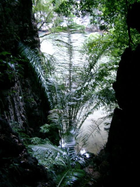 084railay_lagoon.jpg.jpg