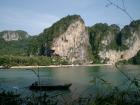 thumbs/012tonsai.jpg.jpg