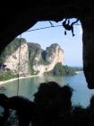 thumbs/016tonsai_form_climbinghole.jpg.jpg