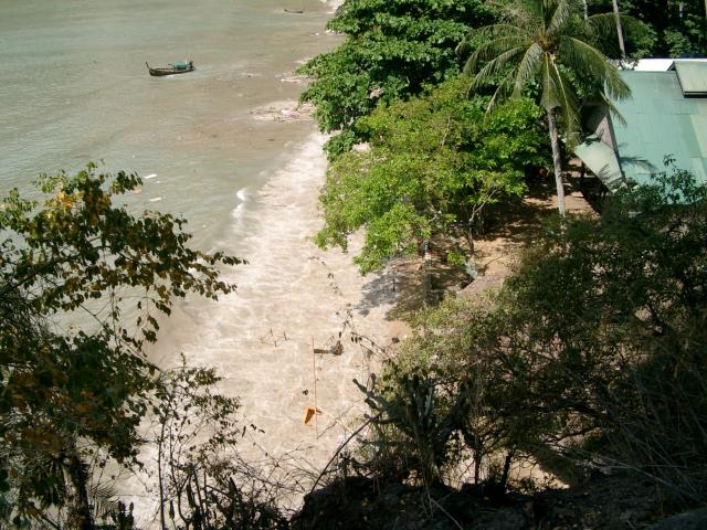 tsunami2303.jpg.jpg